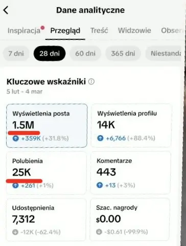 Analityka Patryk TikTok
